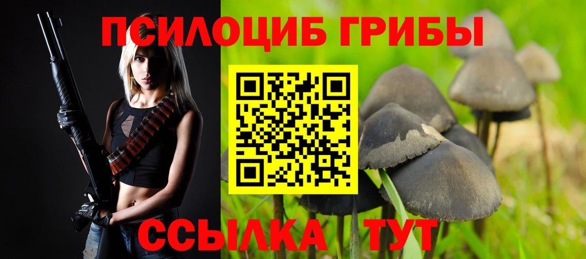 Псилоцибиновые грибы MAGIC MUSHROOMS  Псилоцибиновые грибы прущие грибы  Нижний Новгород  Вход с VPN 