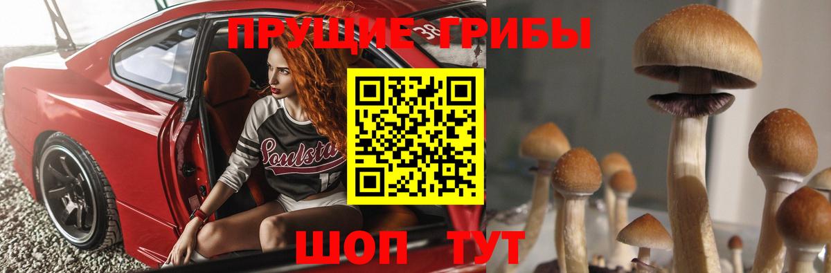 Галлюциногенные грибы Cubensis Нижний Новгород